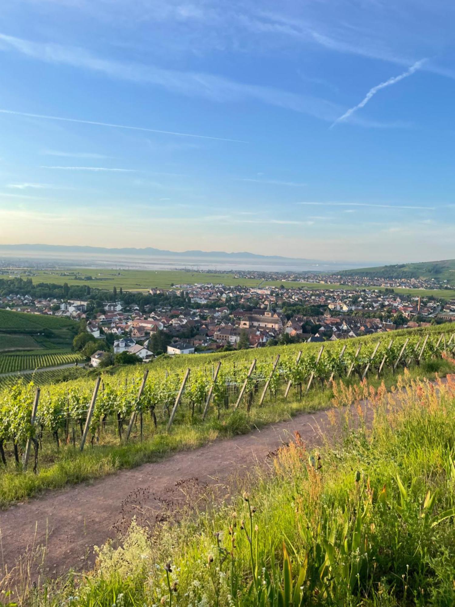 Le Trente A Turckheim Villa Dış mekan fotoğraf